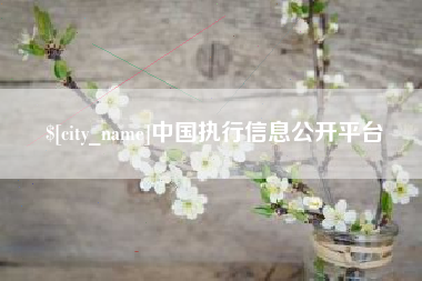 榆林中国执行信息公开平台