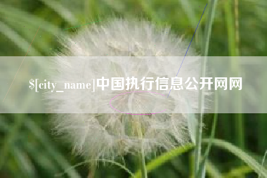 榆林中国执行信息公开网网