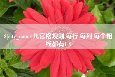 榆林九宫格规则,每行,每列,每个粗线都有1-9