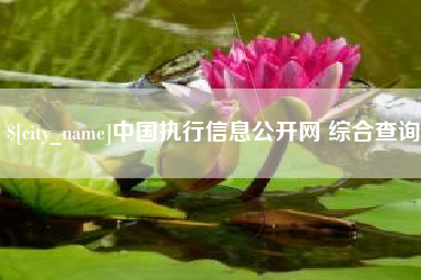 榆林中国执行信息公开网 综合查询