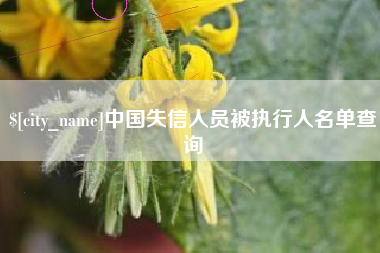 榆林中国失信人员被执行人名单查询