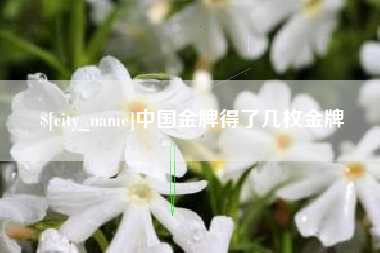 榆林中国金牌得了几枚金牌