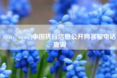 榆林中国执行信息公开网客服电话查询