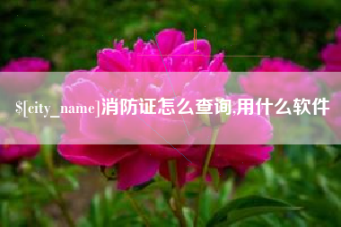 榆林消防证怎么查询,用什么软件