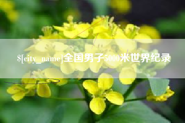 榆林全国男子5000米世界纪录