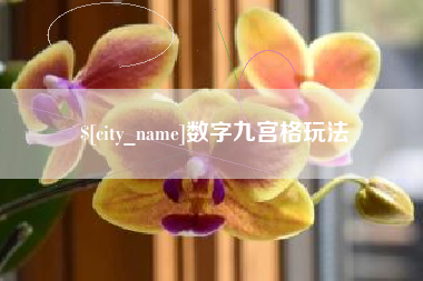 榆林数字九宫格玩法