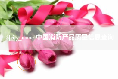 榆林中国消防产品质量信息查询