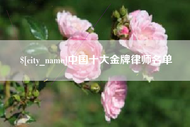 榆林中国十大金牌律师名单