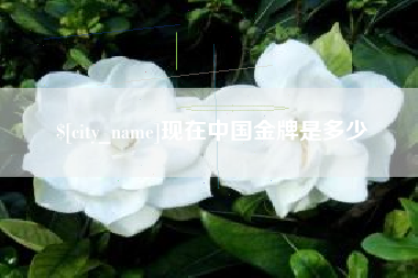 榆林现在中国金牌是多少