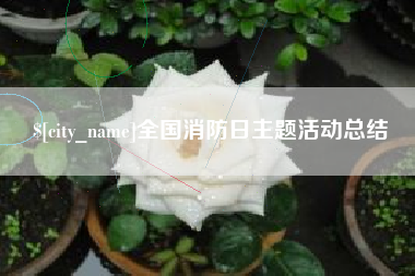 榆林全国消防日主题活动总结