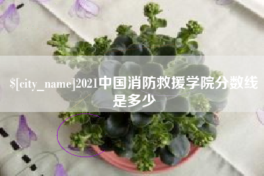 榆林2021中国消防救援学院分数线是多少