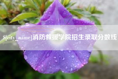 榆林消防救援学院招生录取分数线