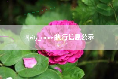 榆林执行信息公示