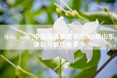 榆林中国消防救援学院2021年山东录取分数线是多少