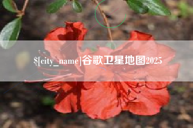 榆林谷歌卫星地图2025