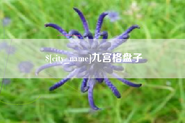 榆林九宫格盘子