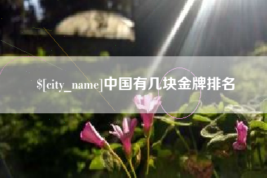 榆林中国有几块金牌排名