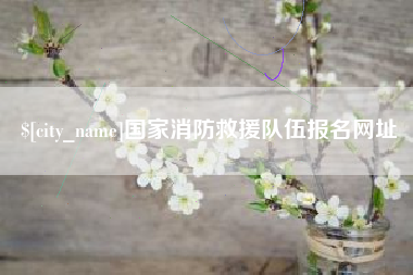 榆林国家消防救援队伍报名网址