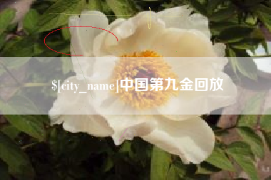 榆林中国第九金回放