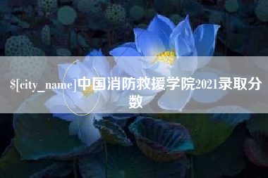 榆林中国消防救援学院2021录取分数