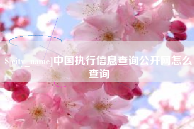 榆林中国执行信息查询公开网怎么查询