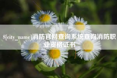 榆林消防官网查询系统查询消防职业资格证书