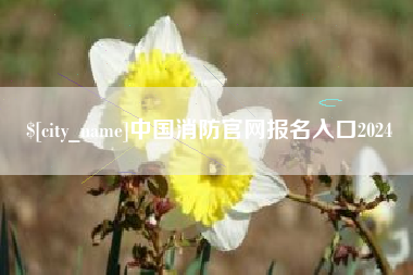 榆林中国消防官网报名入口2024