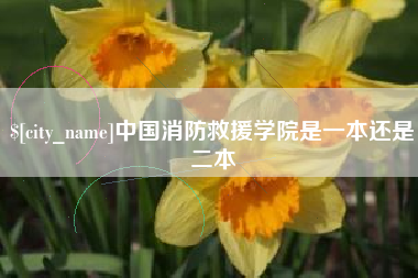 榆林中国消防救援学院是一本还是二本