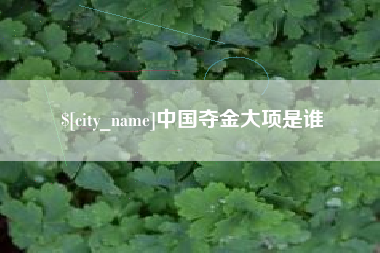 榆林中国夺金大项是谁