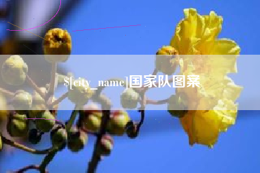 榆林国家队图案