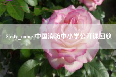 榆林中国消防中小学公开课回放