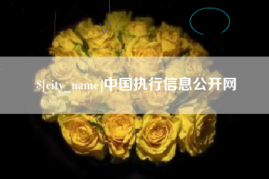 榆林中国执行信息公开网