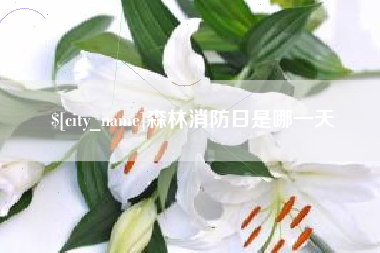 榆林森林消防日是哪一天