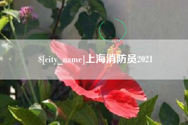 榆林上海消防员2021