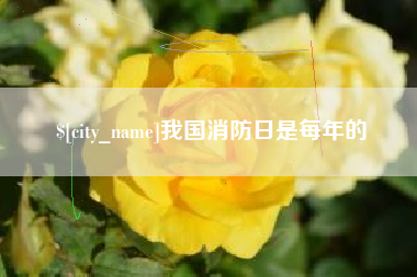 榆林我国消防日是每年的