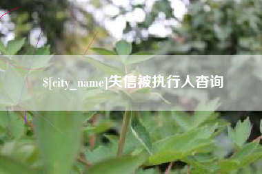 榆林失信被执行人杳询