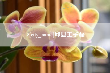 榆林邱县王子磊
