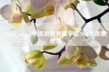 榆林中国消防救援学院2020年录取结果