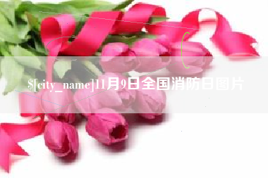 榆林11月9日全国消防日图片