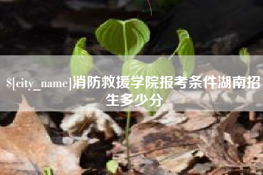 榆林消防救援学院报考条件湖南招生多少分