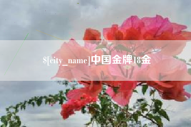 榆林中国金牌18金