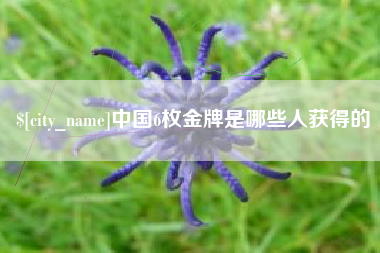榆林中国6枚金牌是哪些人获得的
