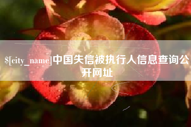 榆林中国失信被执行人信息查询公开网址