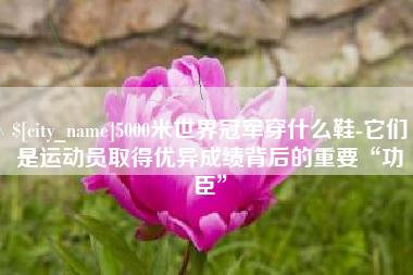 榆林5000米世界冠军穿什么鞋-它们是运动员取得优异成绩背后的重要“功臣”