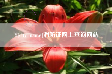 榆林消防证网上查询网站