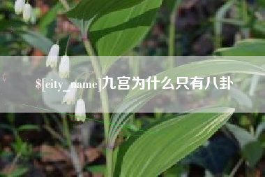 榆林九宫为什么只有八卦