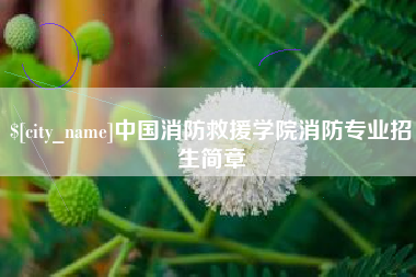 榆林中国消防救援学院消防专业招生简章