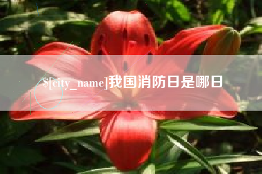 榆林我国消防日是哪日