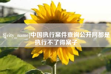 榆林中国执行案件查询公开网都是执行不了得案子