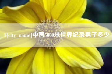 榆林中国5000米世界纪录男子多少